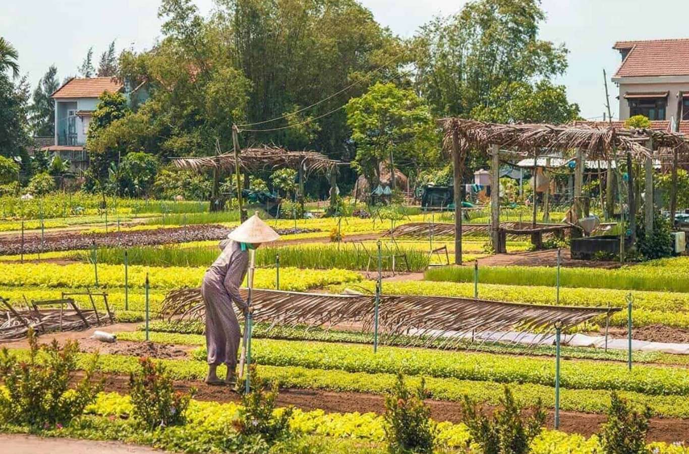 Capture the authentic charm of Vietnam’s lush scene